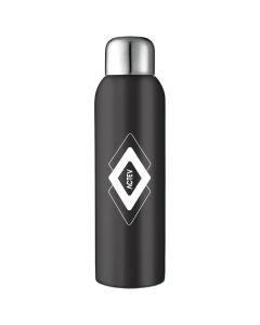 Guzzle 28 oz. Stainless Sports Bottle