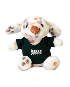 Promotional Chandler JR.